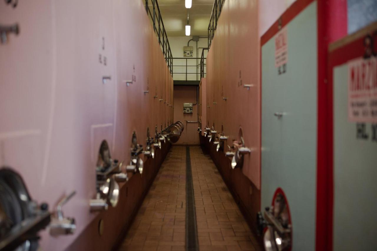 Appartamenti Casalsole Cerreto Guidi Buitenkant foto